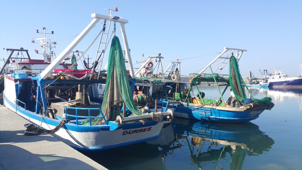 Pescherecci a Durazzo, Albania. Crediti Ciheam