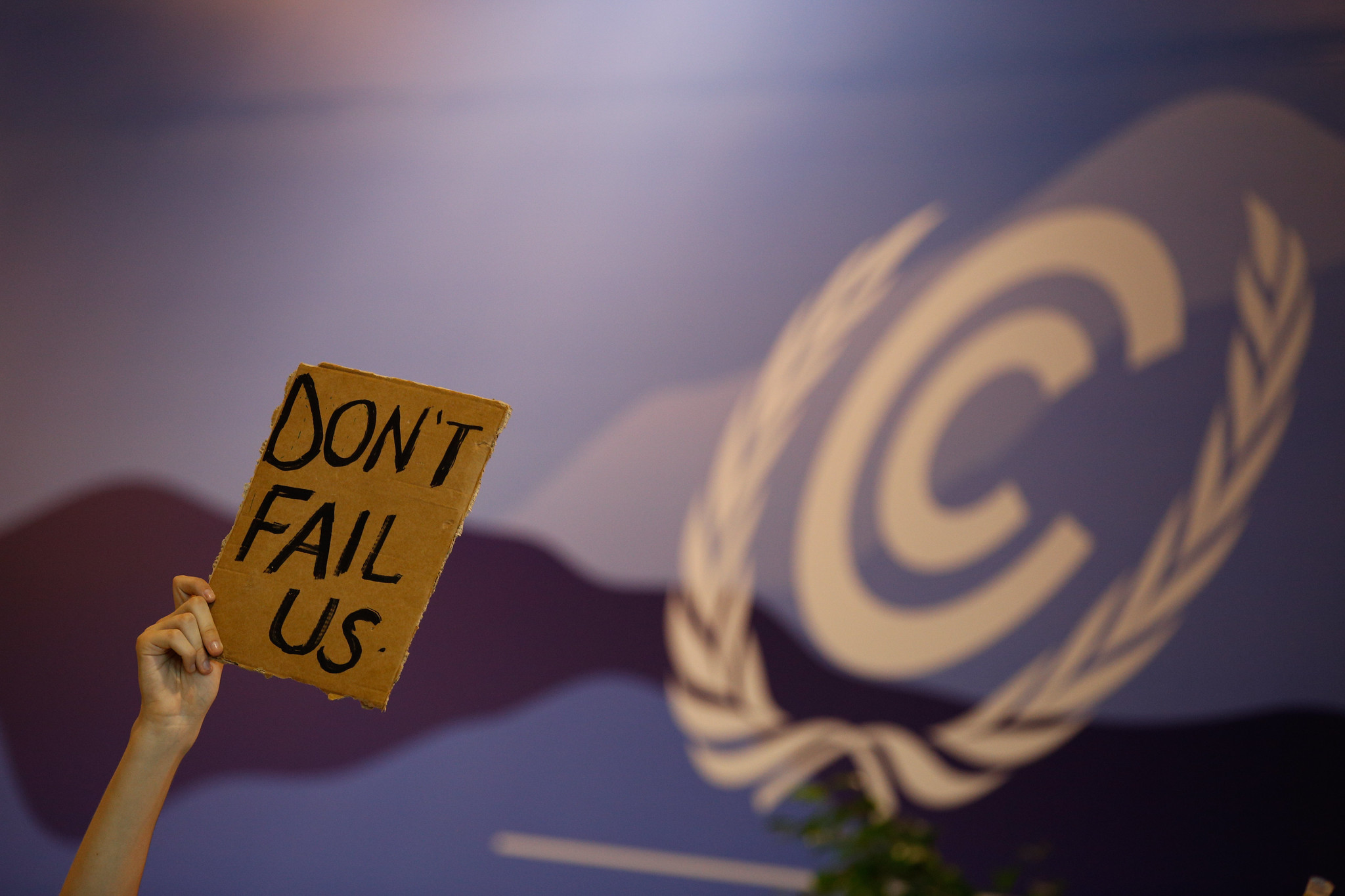 Cop27