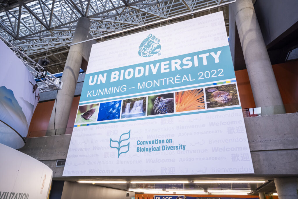 Il centro congressi dove si tiene la Cop15 a Montreal. Crediti: UN Biodiversity