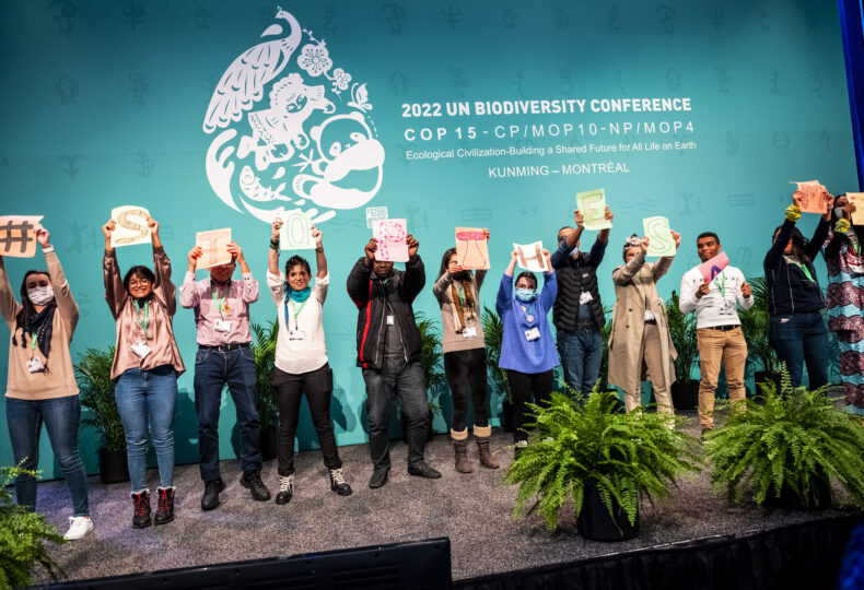 Cop15 Montreal