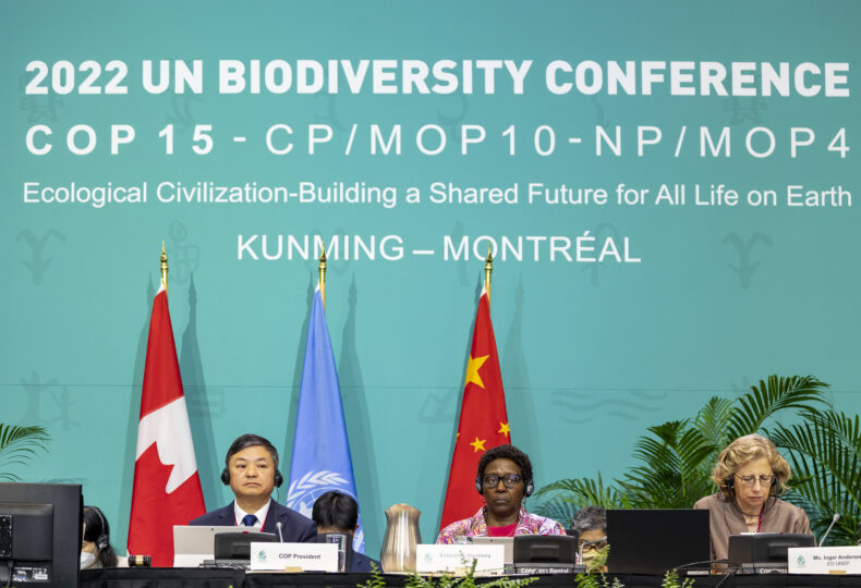 Cop15 Montreal