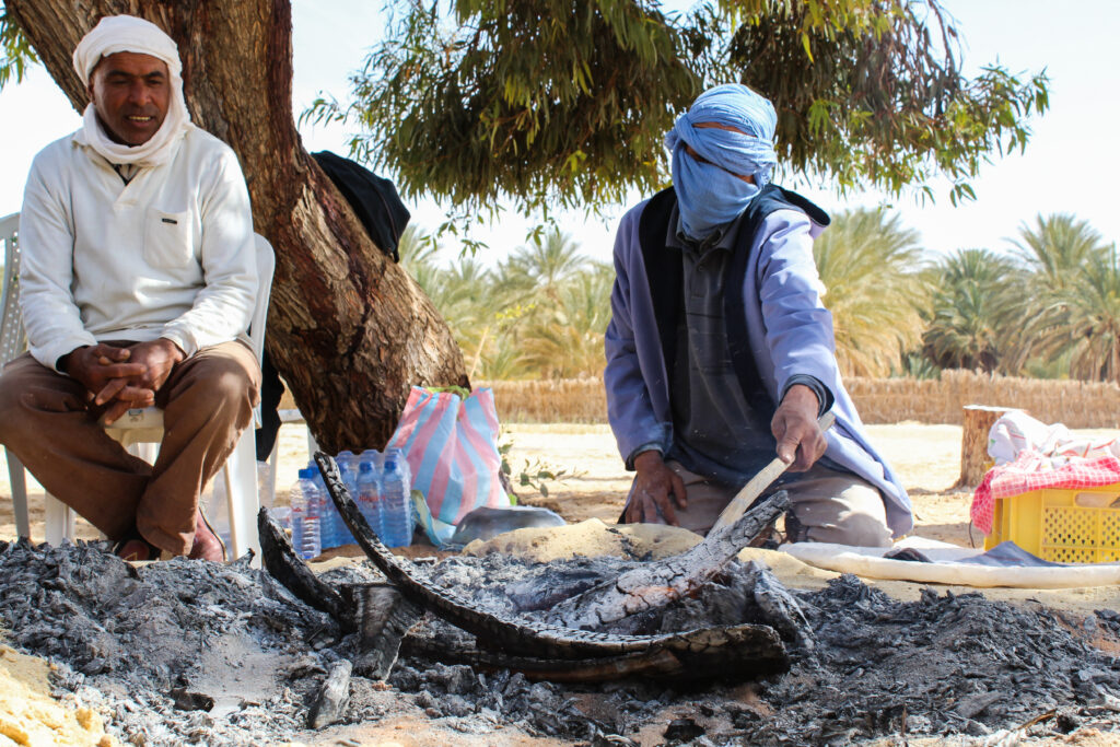 L'oasi di Hazoua.