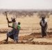 02 March 2016, Tera, Bajirga, Niger - Women at work for preparing the field for the next rainy season by escaving mid-moon dams to save water. FAO project GCP/INT/157/EC: Action Against Deserti­fication is an initiative of the African, Caribbean and Pacifi­c Group of States (ACP) to promote sustainable land management and restore drylands and degraded lands in Africa, the Caribbean and the Pacifi­c, implemented by FAO and partners with funding from the European Union in the framework of the 10th European Development Fund (EDF).