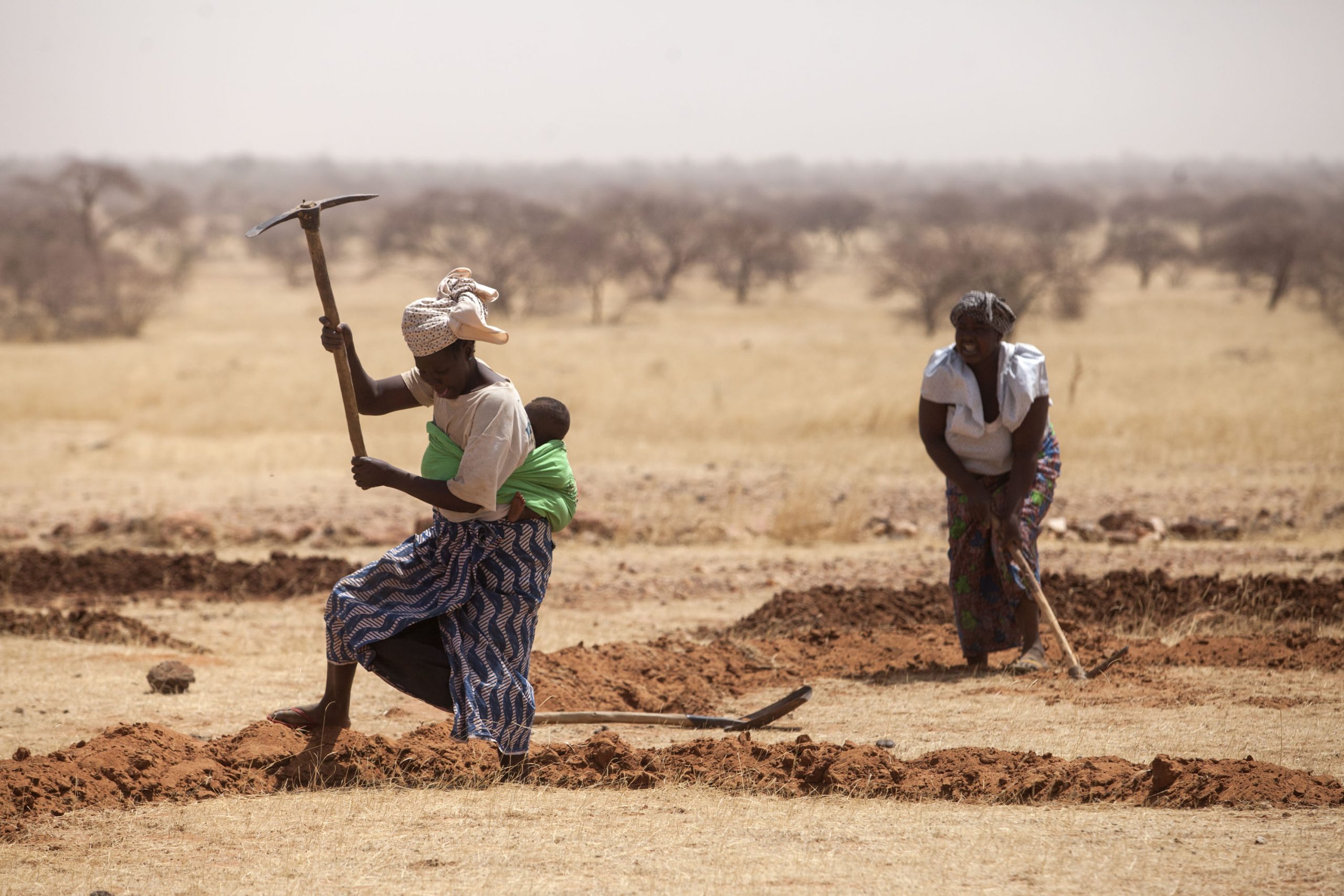02 March 2016, Tera, Bajirga, Niger - Women at work for preparing the field for the next rainy season by escaving mid-moon dams to save water. FAO project GCP/INT/157/EC: Action Against Deserti­fication is an initiative of the African, Caribbean and Pacifi­c Group of States (ACP) to promote sustainable land management and restore drylands and degraded lands in Africa, the Caribbean and the Pacifi­c, implemented by FAO and partners with funding from the European Union in the framework of the 10th European Development Fund (EDF).