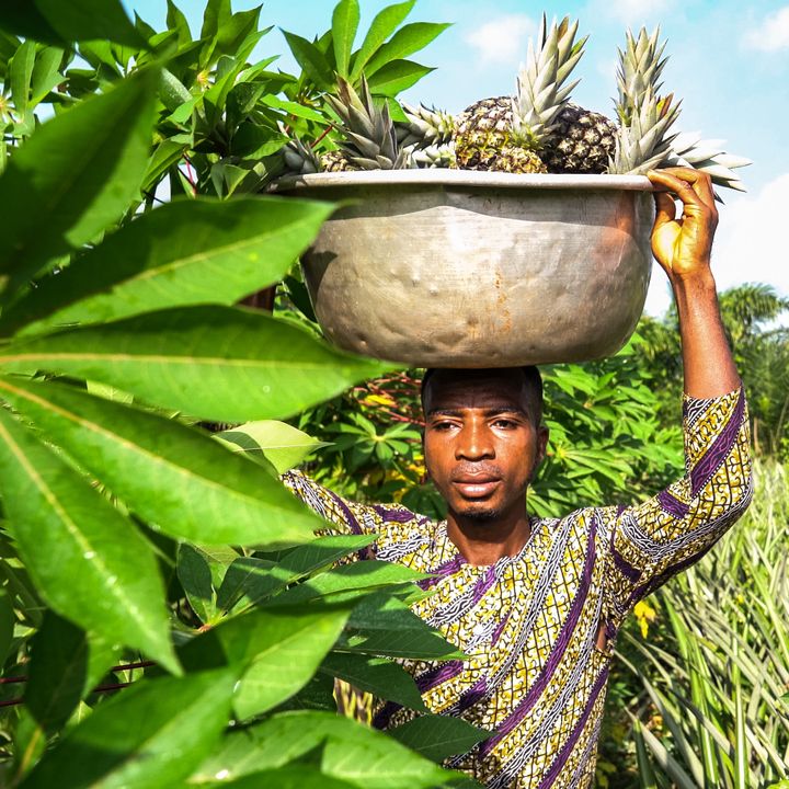 Agricoltura a valore aggiunto: una necessità per l’Africa, un’opportunità di cooperazione per l’Italia