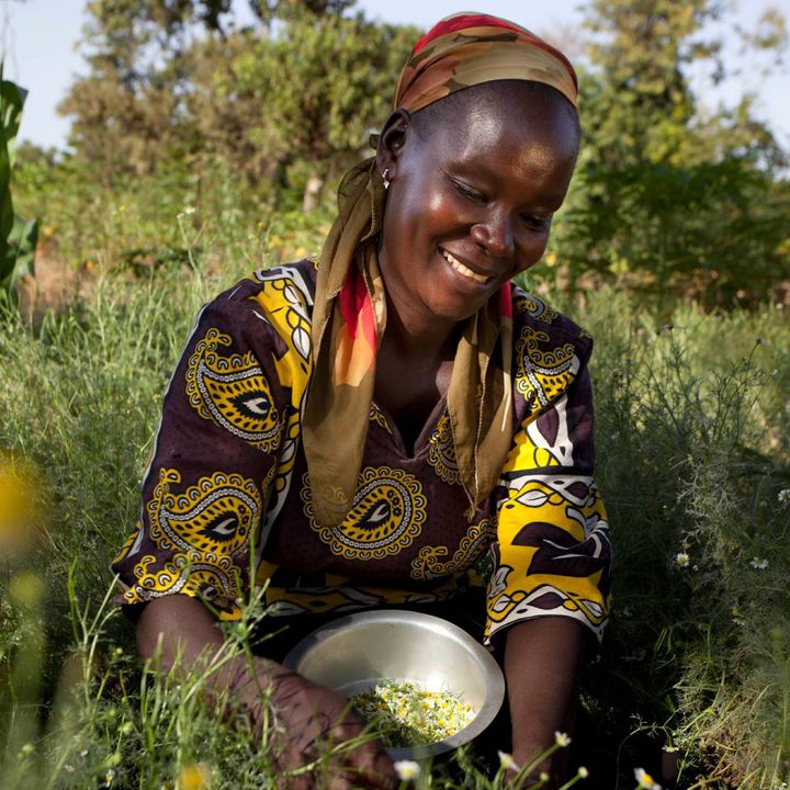 La cooperazione italiana in Kenya raccontata da Fabio Melloni