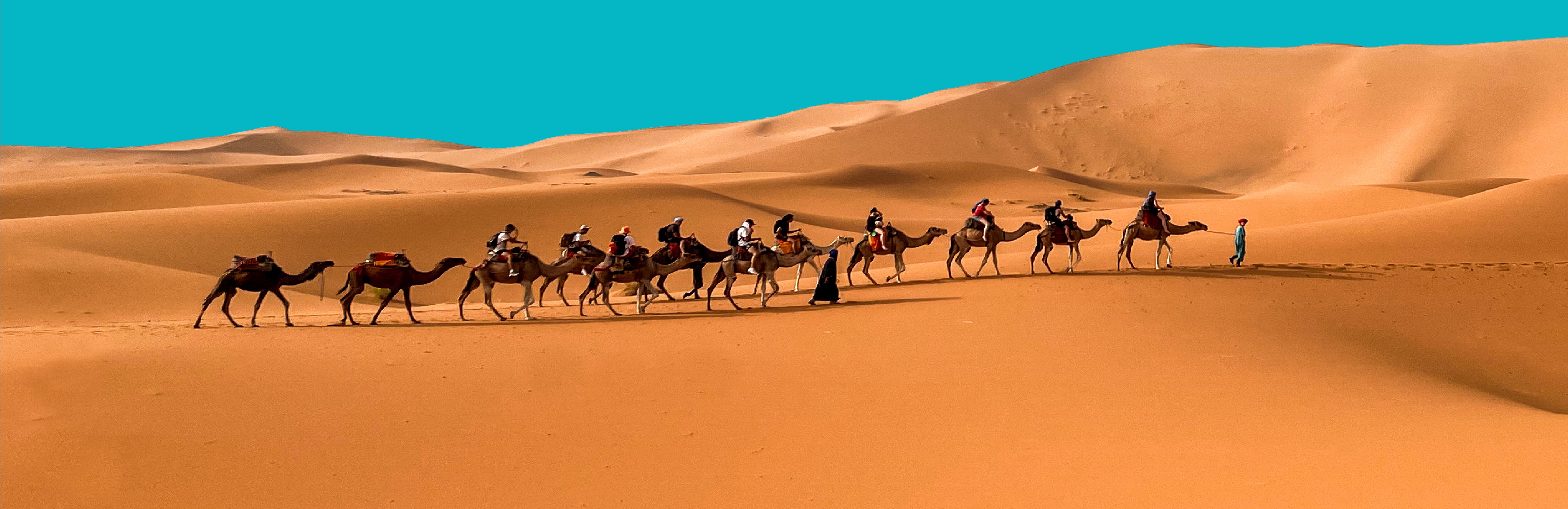 AICS alla COP17 UNCCD in Mongolia per il contrasto alla desertificazione