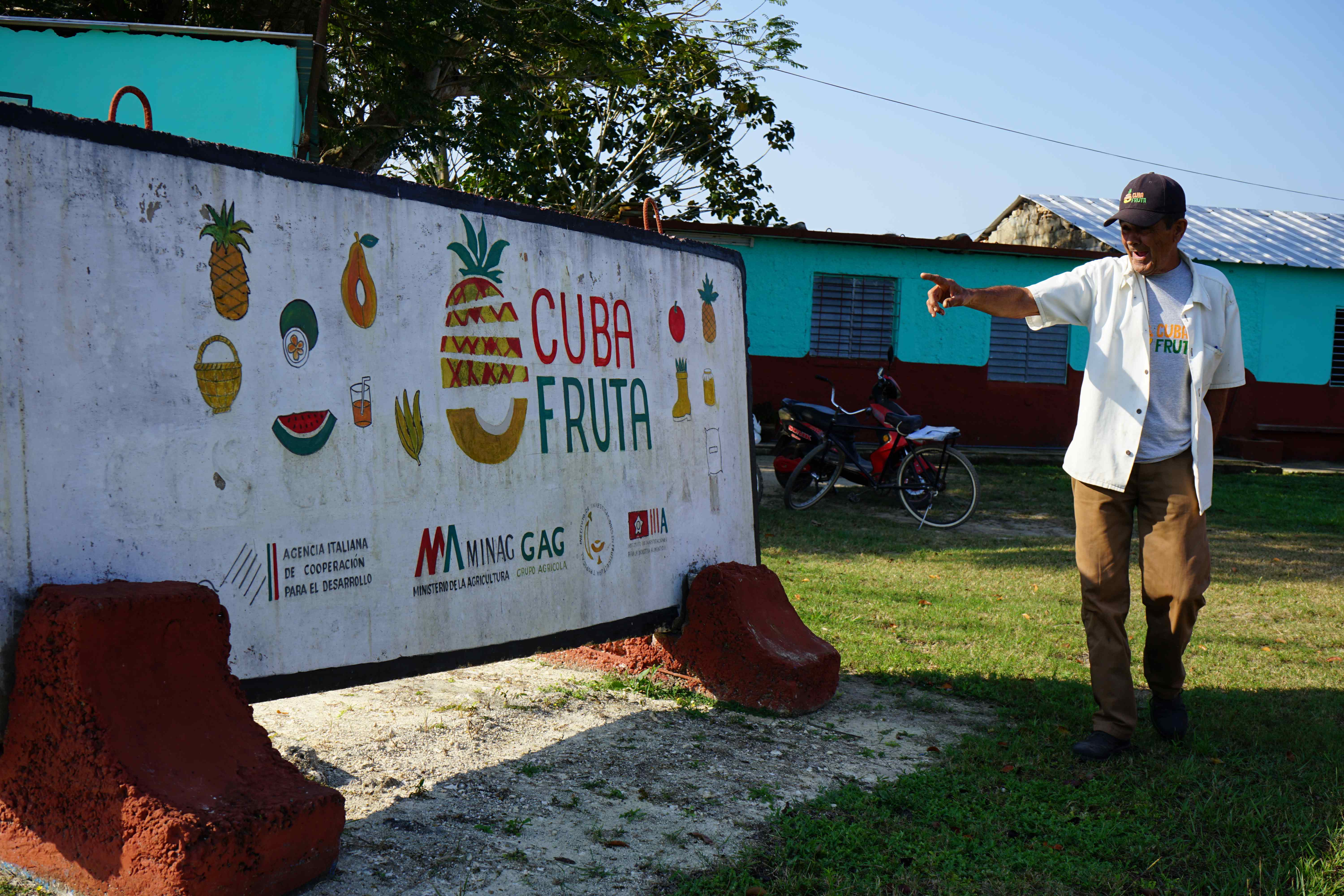 Un progetto della Cooperazione Italiana per rafforzare le filiere dell’ananas e dell’avocado a Cuba